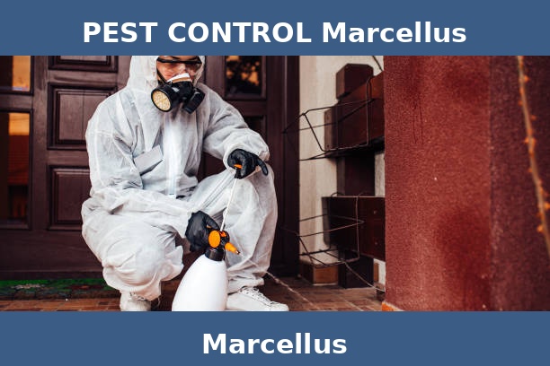 PEST CONTROL Marcellus